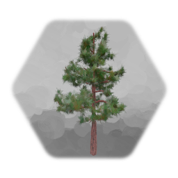 Red Pine