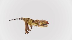 Testo animation 3