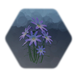Flowers 1