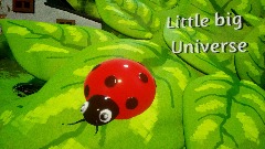 Little big Universe