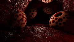 Sol invictus: the stomach