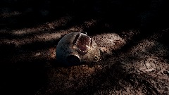 The Lost Helmet