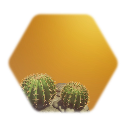 Barrel Cactus