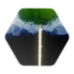 Birch Tree