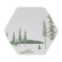 Spruce pack
