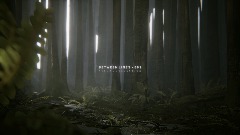 BETWEEN LINES - AMBIENT FOREST SCENERY - 002