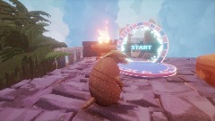 Amarillo Armadillo Escapes Texas