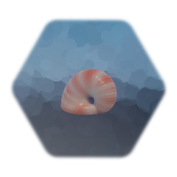 Shell