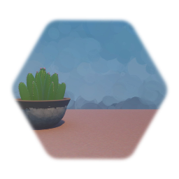 Cactus, Potted