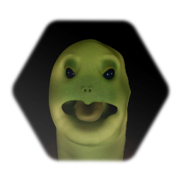 Turtle Head Popping Out