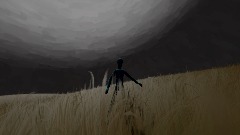 Custom anims and open world test