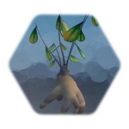 Tree - Plant