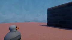 Pigeons have bad vision