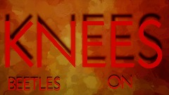 Beetles On Knees  (#DSC2020)