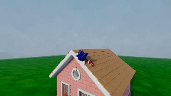 Mr Sonic Fell off of his roof