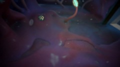 Sinpyx' All Hallows' Dreams Haunted Room