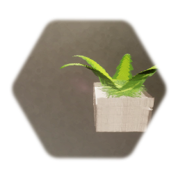 Potted Fern (Paint)