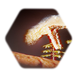 Jurassic Rework Collection