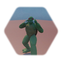 Test turtle face