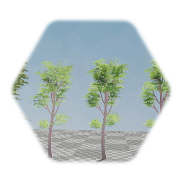 Trees  detailed