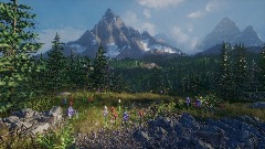 Mountain Meadows