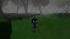 SONIC FOREST CHASE