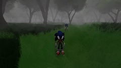 SONIC FOREST CHASE
