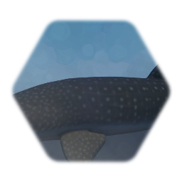Whale shark