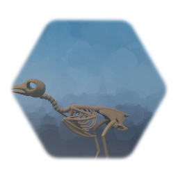 Haast's Eagle Skeleton