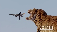 A screenshot taken in Dreams. 5 of 27.