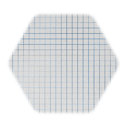 20x20 Grid