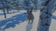Winter Kangaroo 2