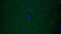 Cutscene Opening