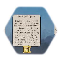 Race timer and tracking kit