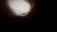AS2 The anthill