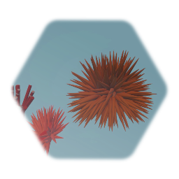 Sea Urchin