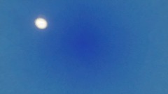 A screenshot taken in Dreams. 1 of 2.