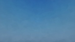 Minha Criação - 27/2/2021