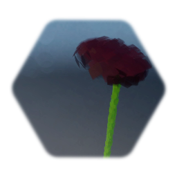 Burgundy Pom (Flower)