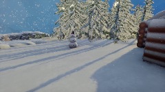 A walk in winterland