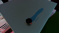Why did tabi fall off the roof?