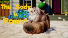 The Body is Round