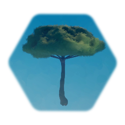 Umbrella Pine Tree