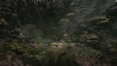 Birds, Blossoms & Beauty - Visual Presentation