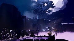 Race in the Meridian Forest