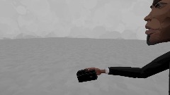 Art found Laila’s Camera.