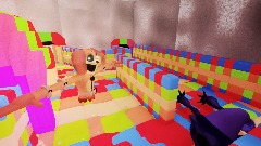 Catnap dance at Dogday in their own place