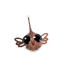 jNo0oNSaFwA