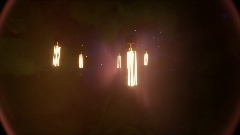 Lights in the trees
