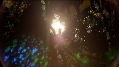 Rapunzel - The dream